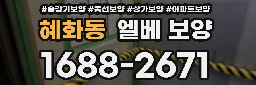 혜화동 엘베 보양