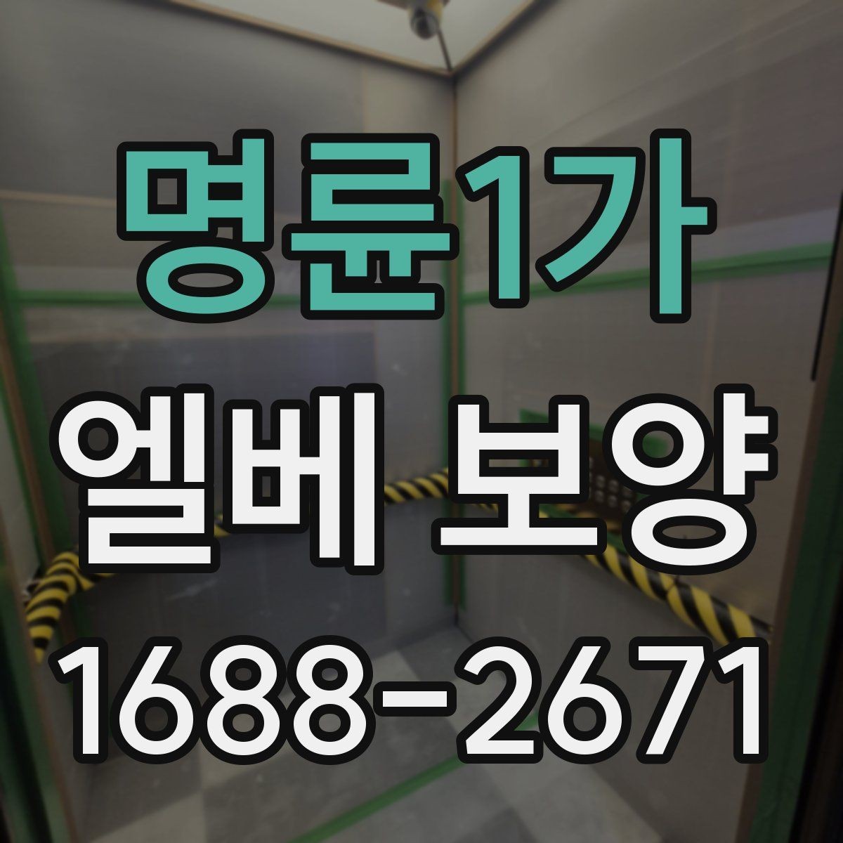 명륜1가 엘베 보양 장비 반입이 잦은 현장의 보호 범위 설정