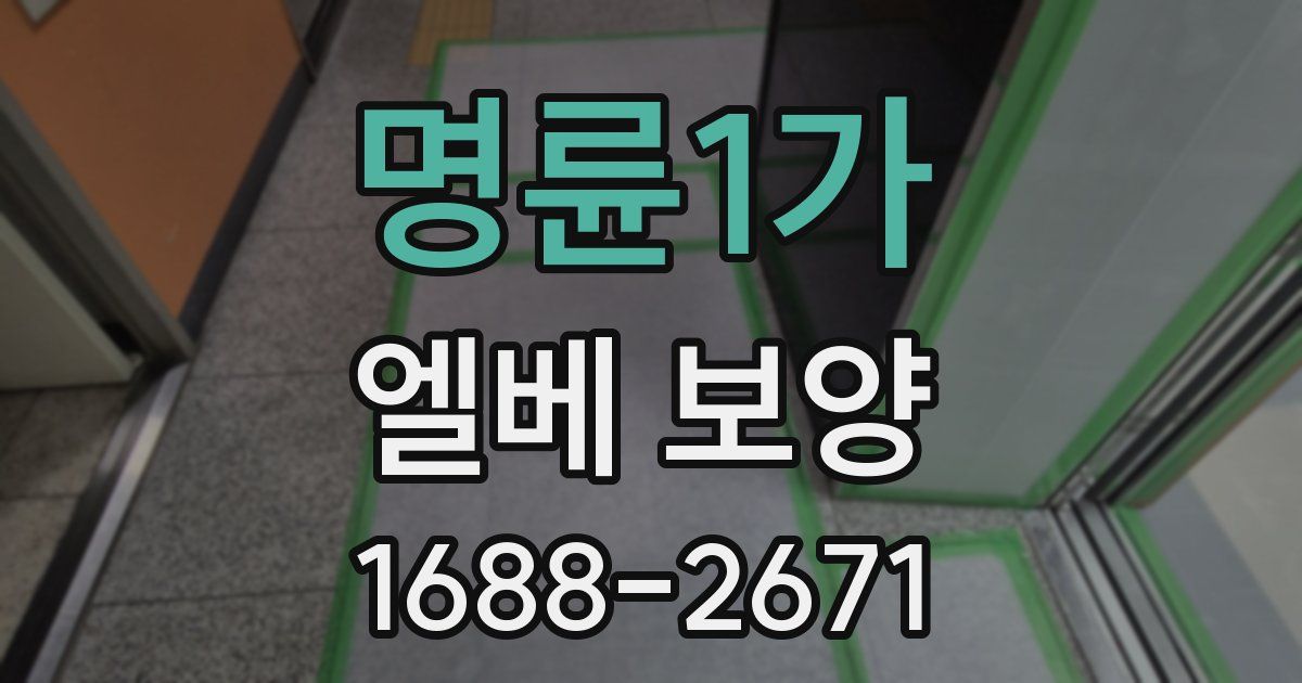 명륜1가 엘베 보양