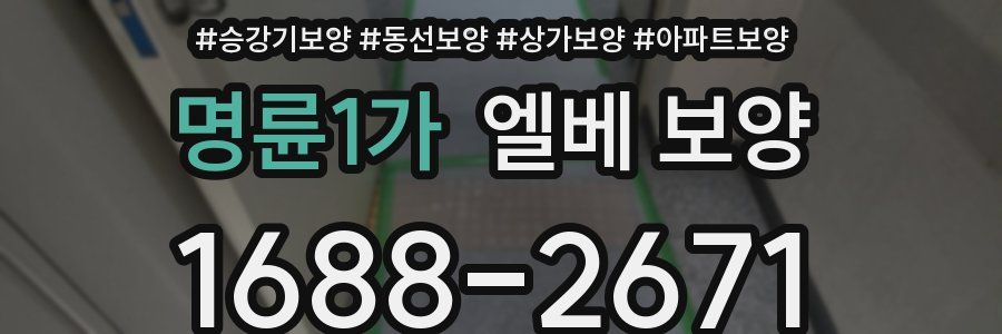 명륜1가 엘베 보양