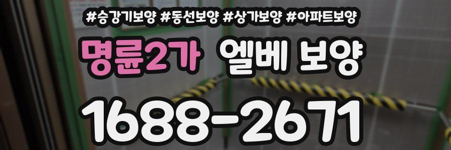 명륜2가 엘베 보양