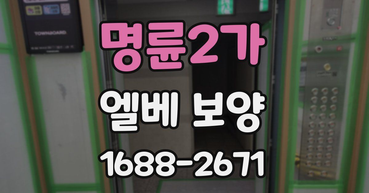 명륜2가 엘베 보양
