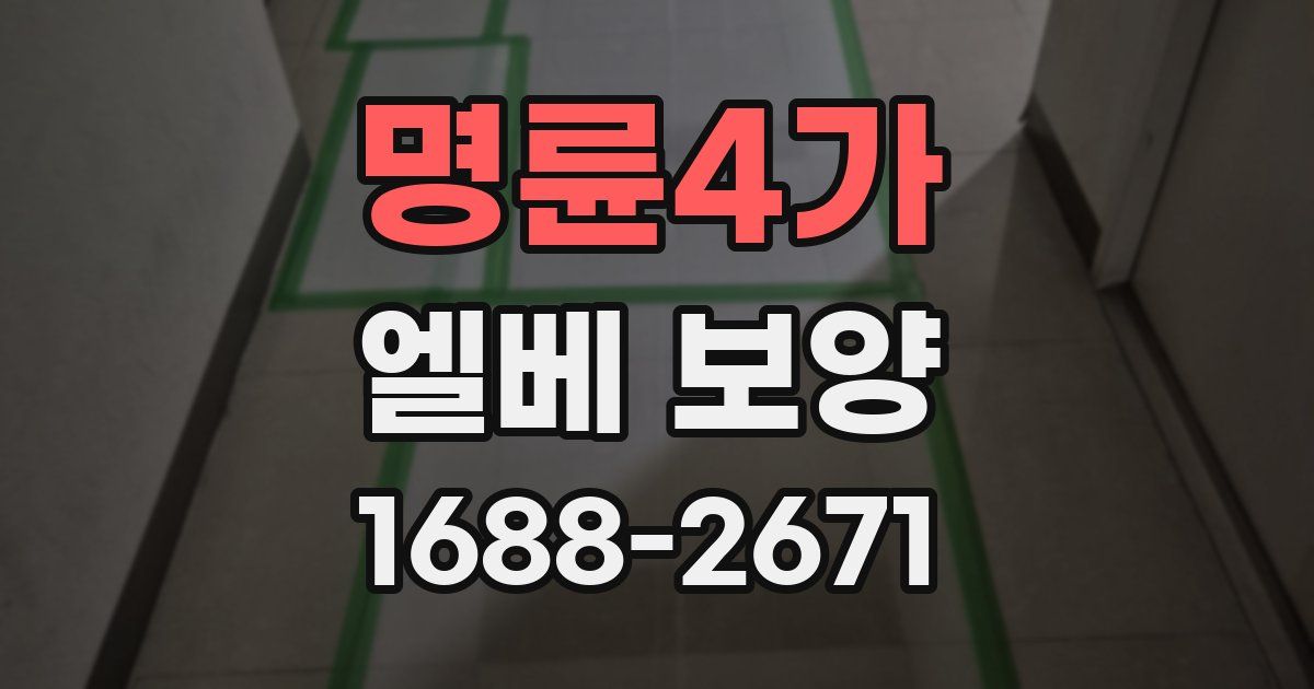 명륜4가 엘베 보양