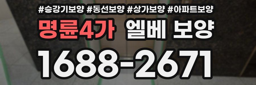 명륜4가 엘베 보양
