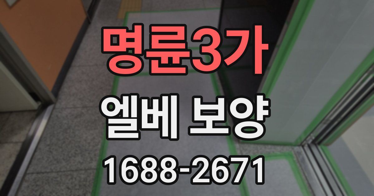명륜3가 엘베 보양