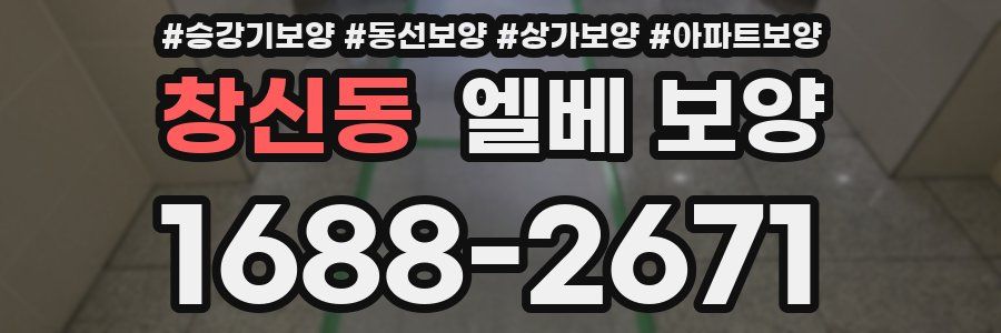 창신동 엘베 보양