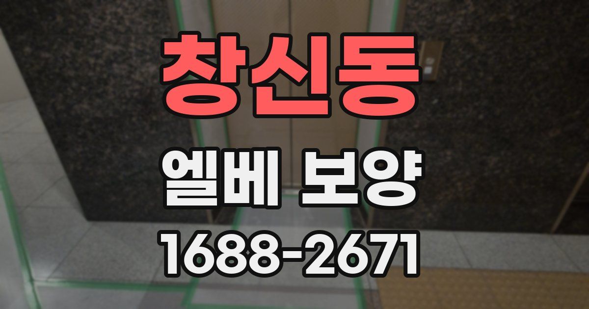 창신동 엘베 보양