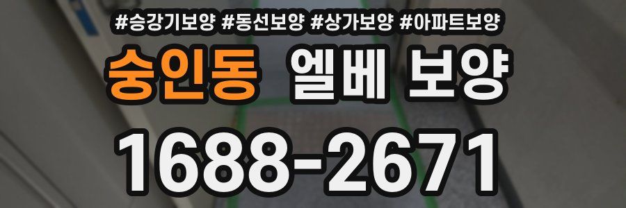 숭인동 엘베 보양