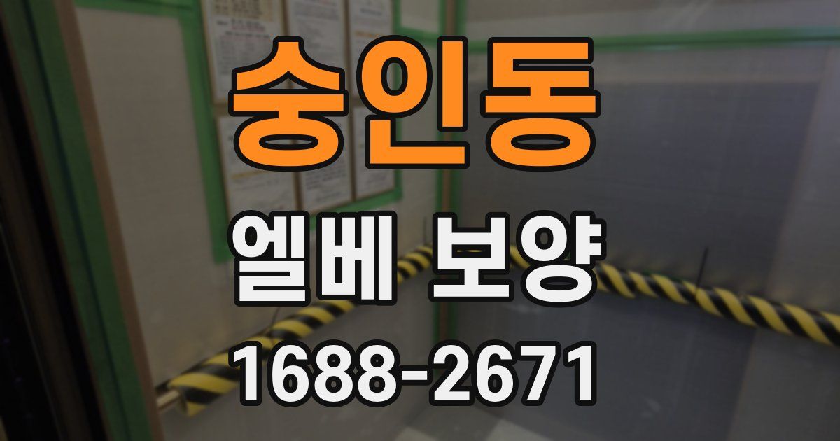 숭인동 엘베 보양