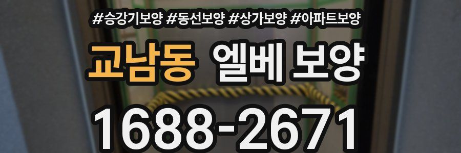 교남동 엘베 보양