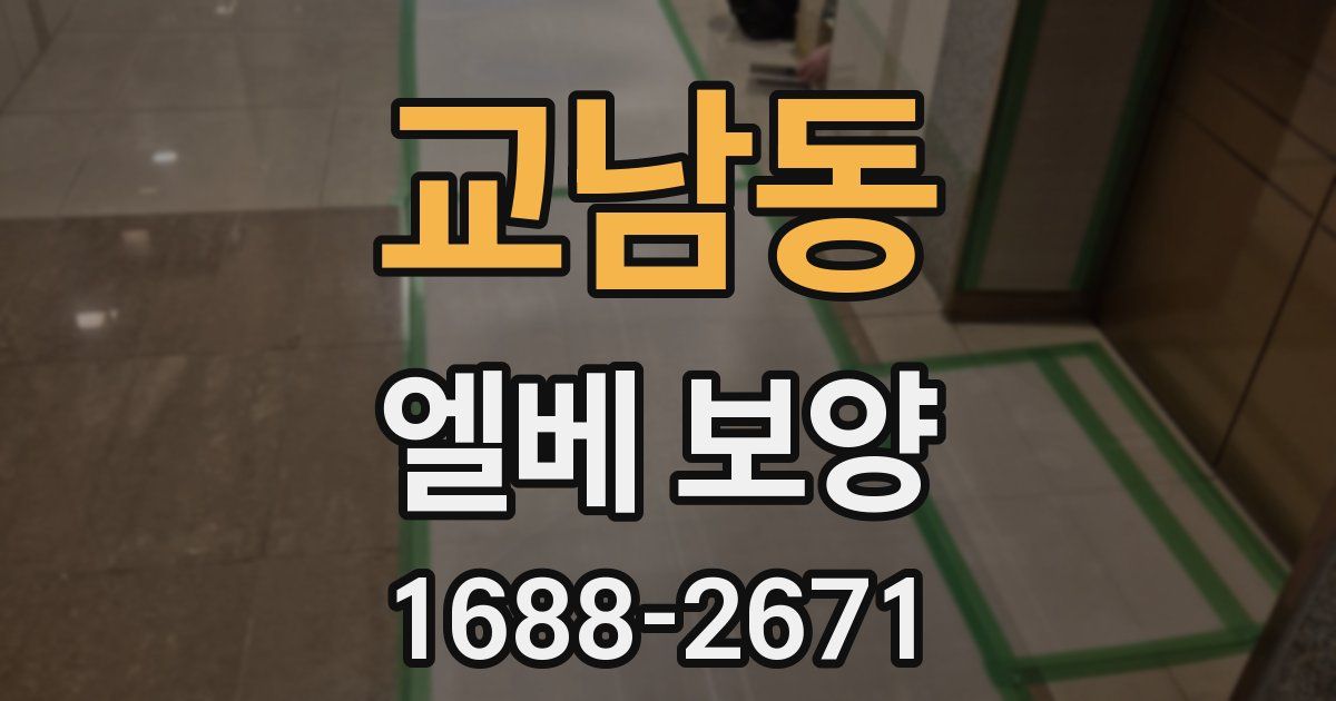 교남동 엘베 보양