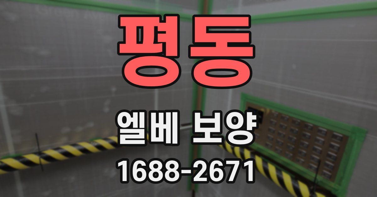 평동 엘베 보양
