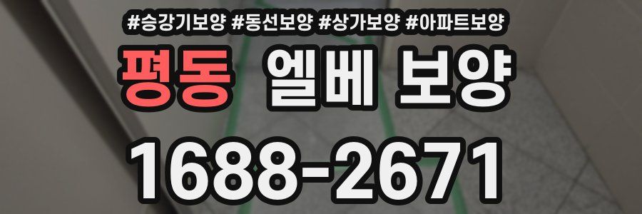 평동 엘베 보양