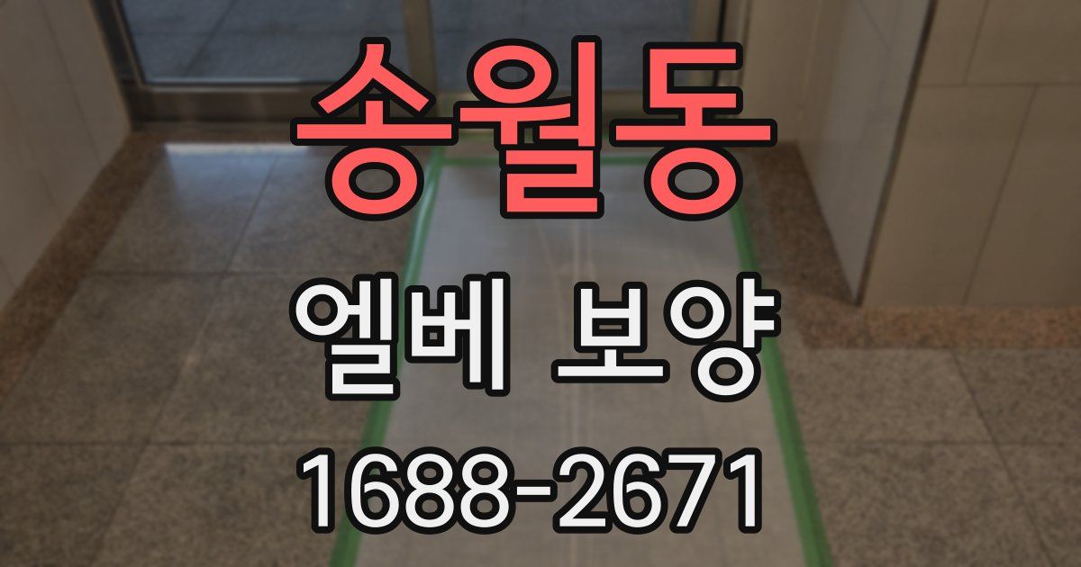 송월동 엘베 보양