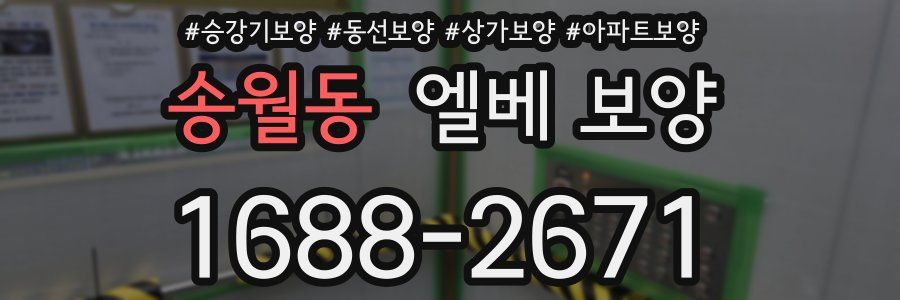 송월동 엘베 보양