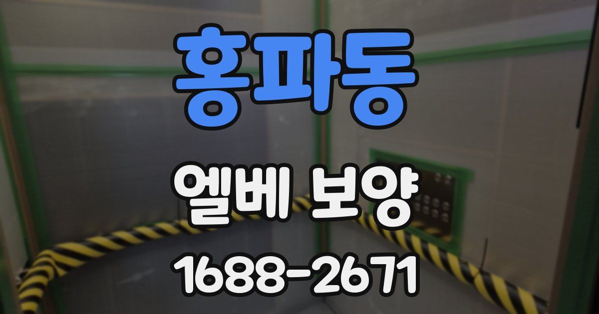홍파동 엘베 보양