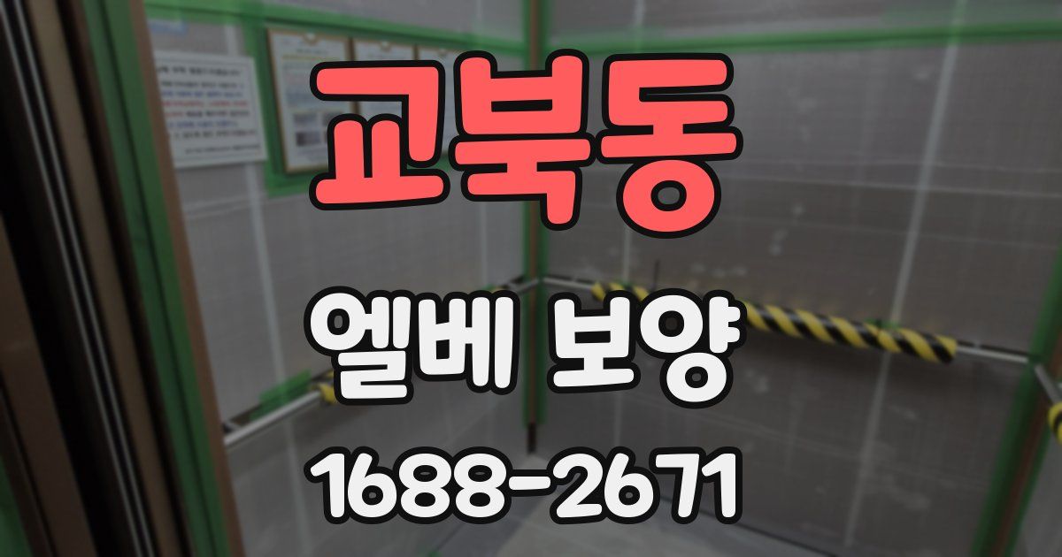 교북동 엘베 보양