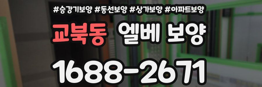 교북동 엘베 보양