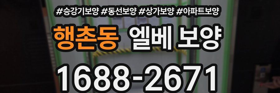 행촌동 엘베 보양