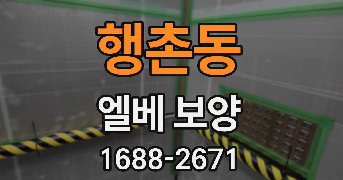 행촌동 엘베 보양
