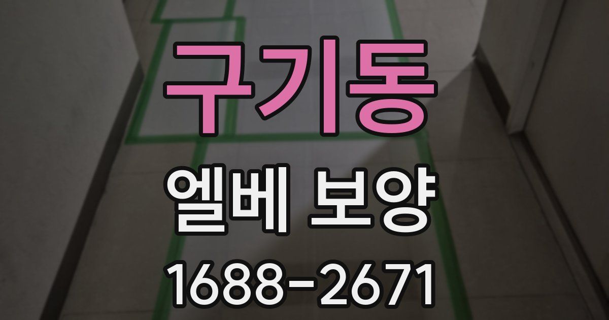 구기동 엘베 보양