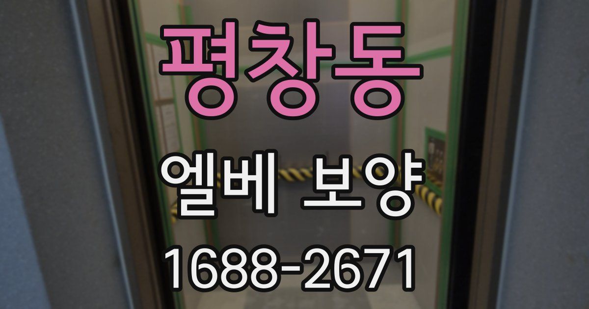 평창동 엘베 보양