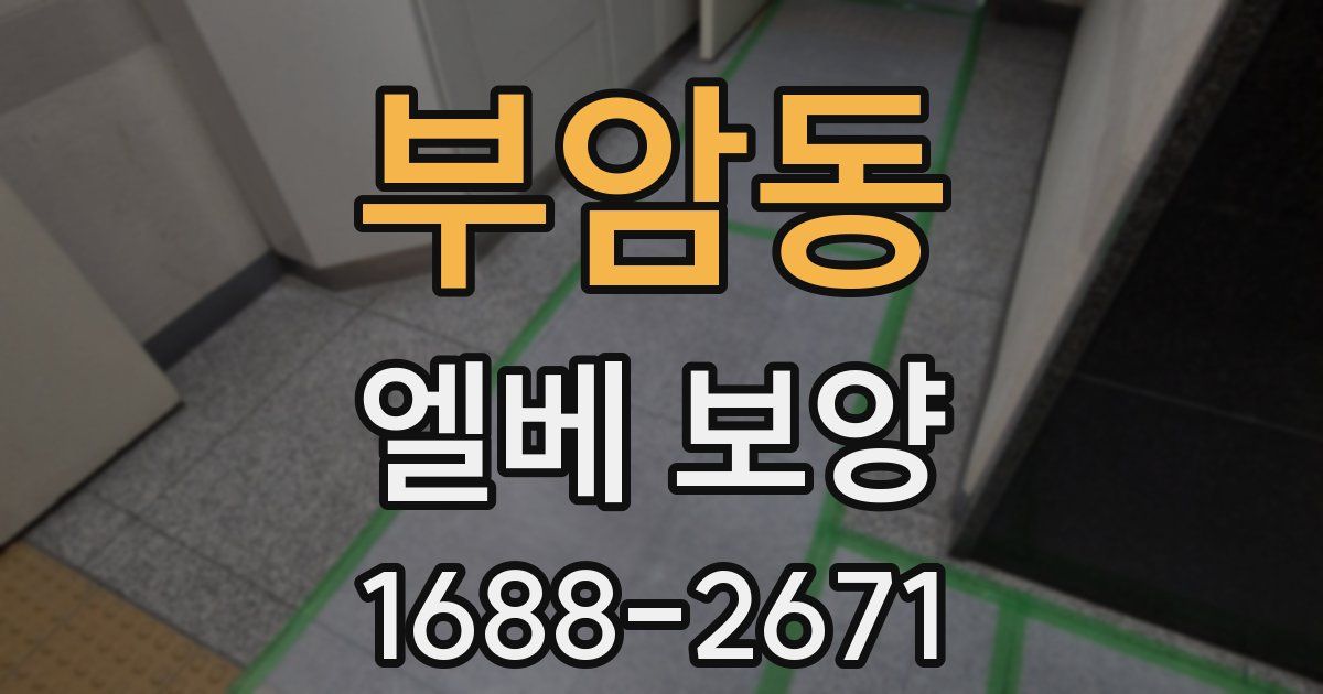 부암동 엘베 보양