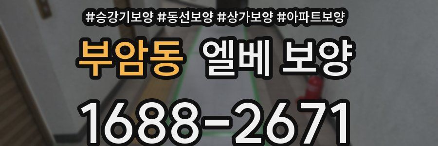 부암동 엘베 보양