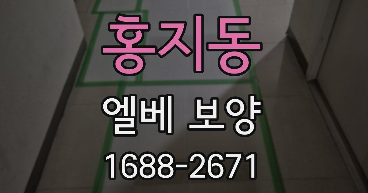 홍지동 엘베 보양
