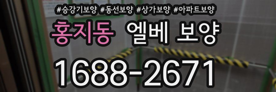 홍지동 엘베 보양