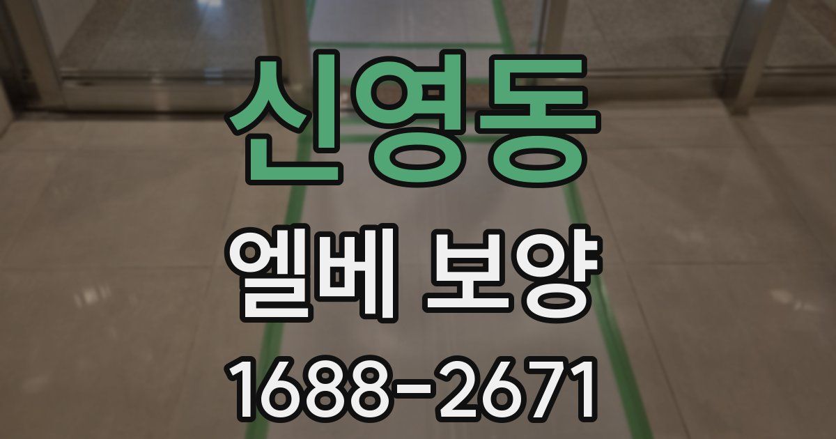 신영동 엘베 보양