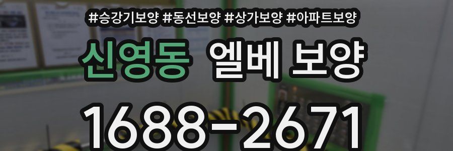 신영동 엘베 보양
