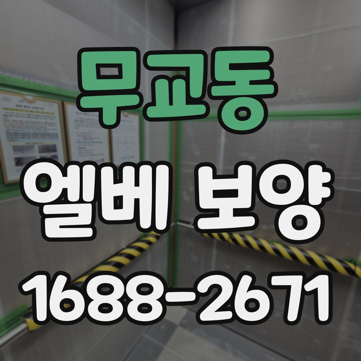 무교동 엘베 보양