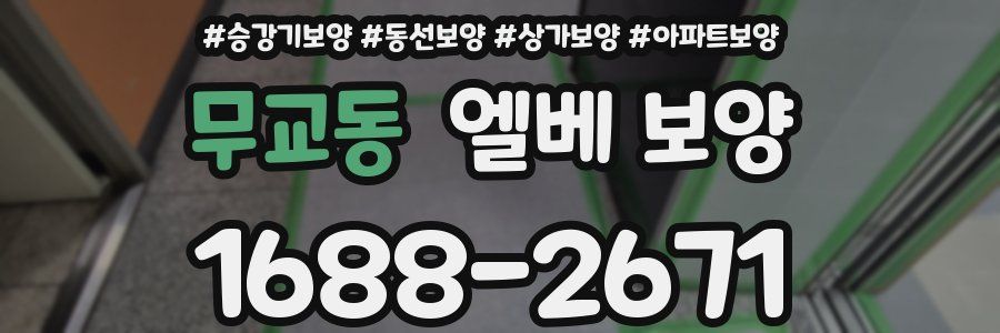 무교동 엘베 보양