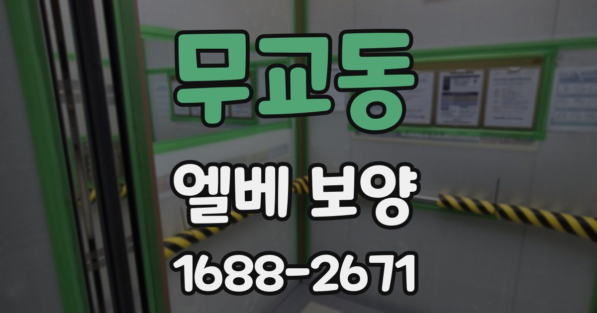 무교동 엘베 보양