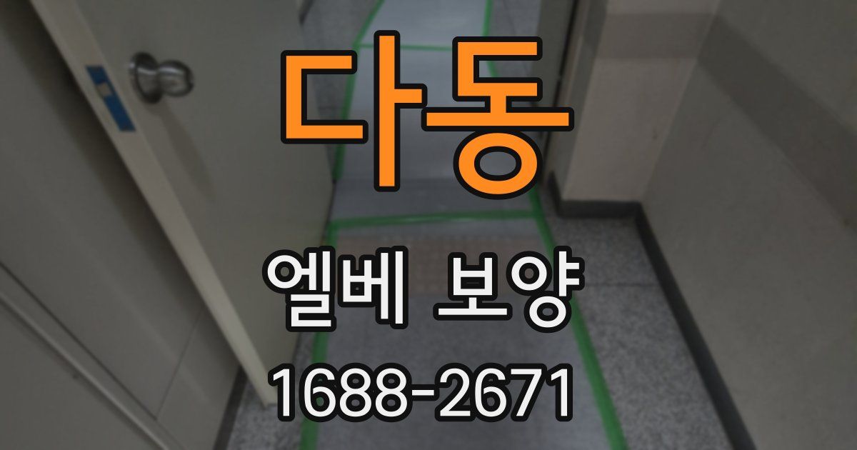 다동 엘베 보양