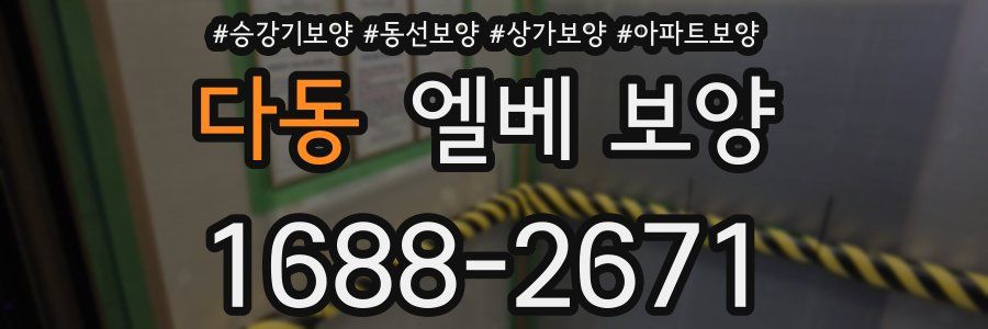 다동 엘베 보양