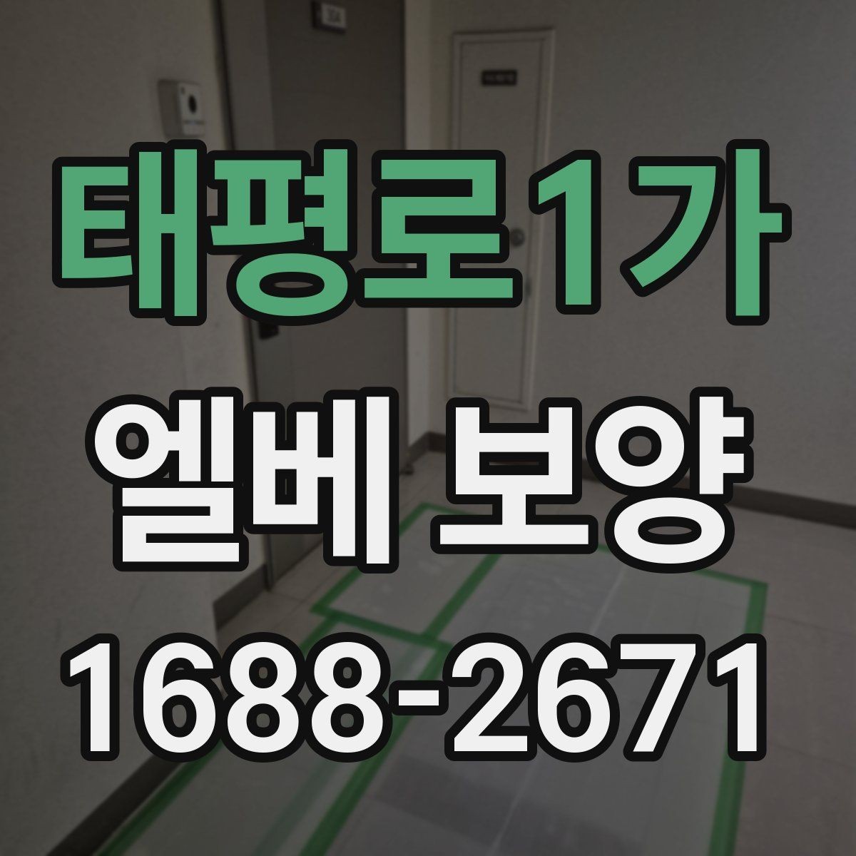 태평로1가 엘베 보양 승강기 문틀 보호를 먼저 보는 이유