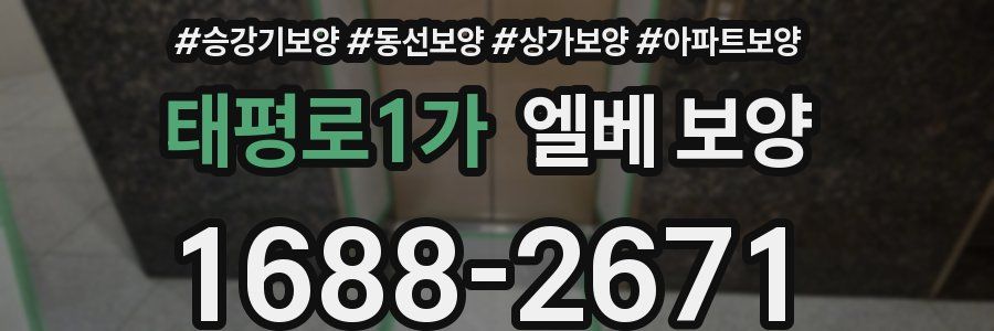 태평로1가 엘베 보양