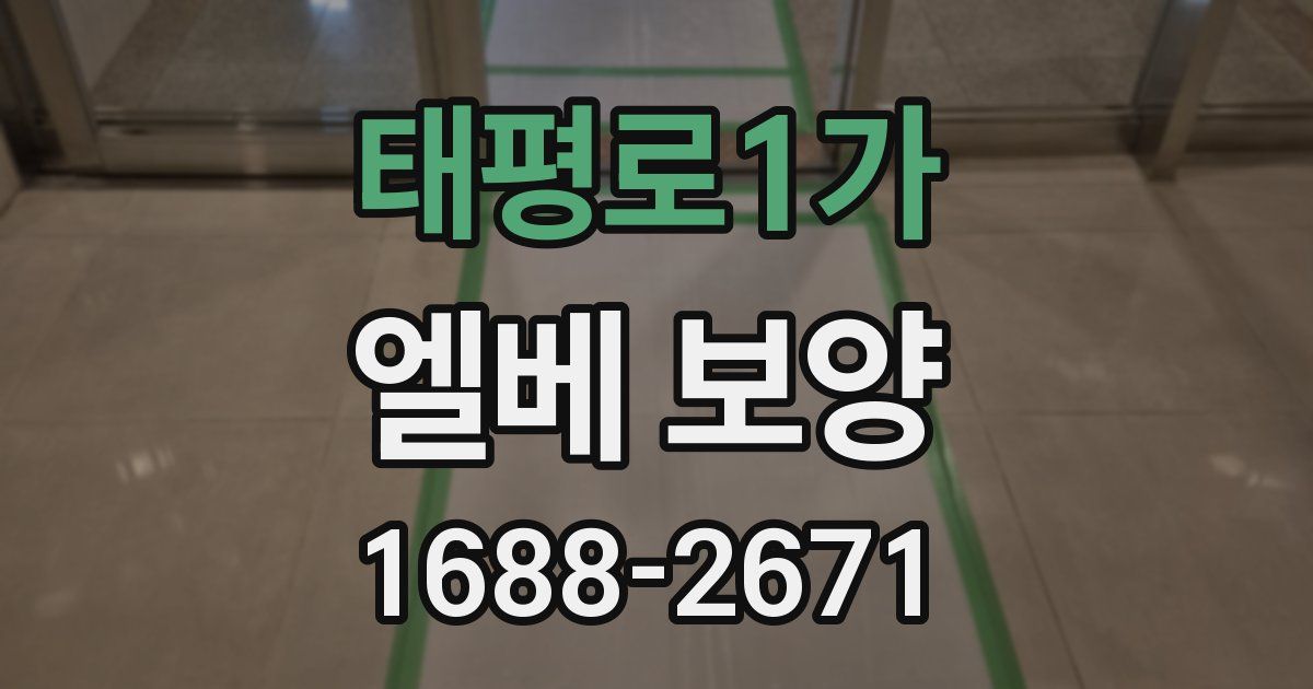 태평로1가 엘베 보양