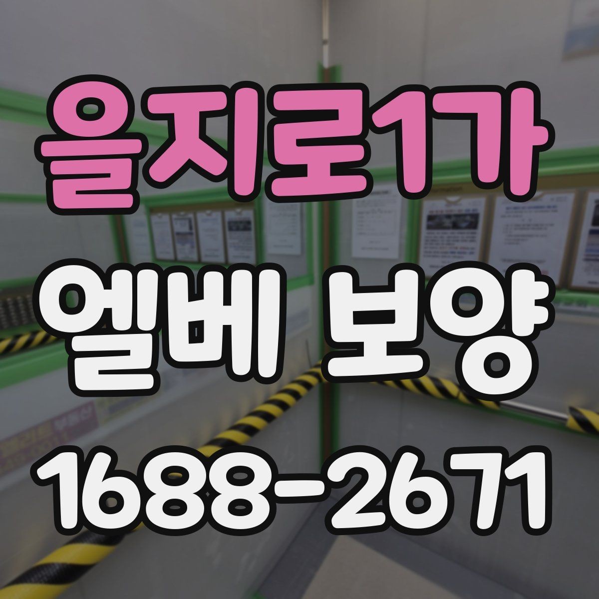 을지로1가 엘베 보양 현장별 보호 수준을 나누는 실무 기준