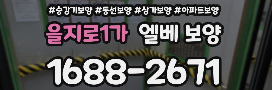 을지로1가 엘베 보양