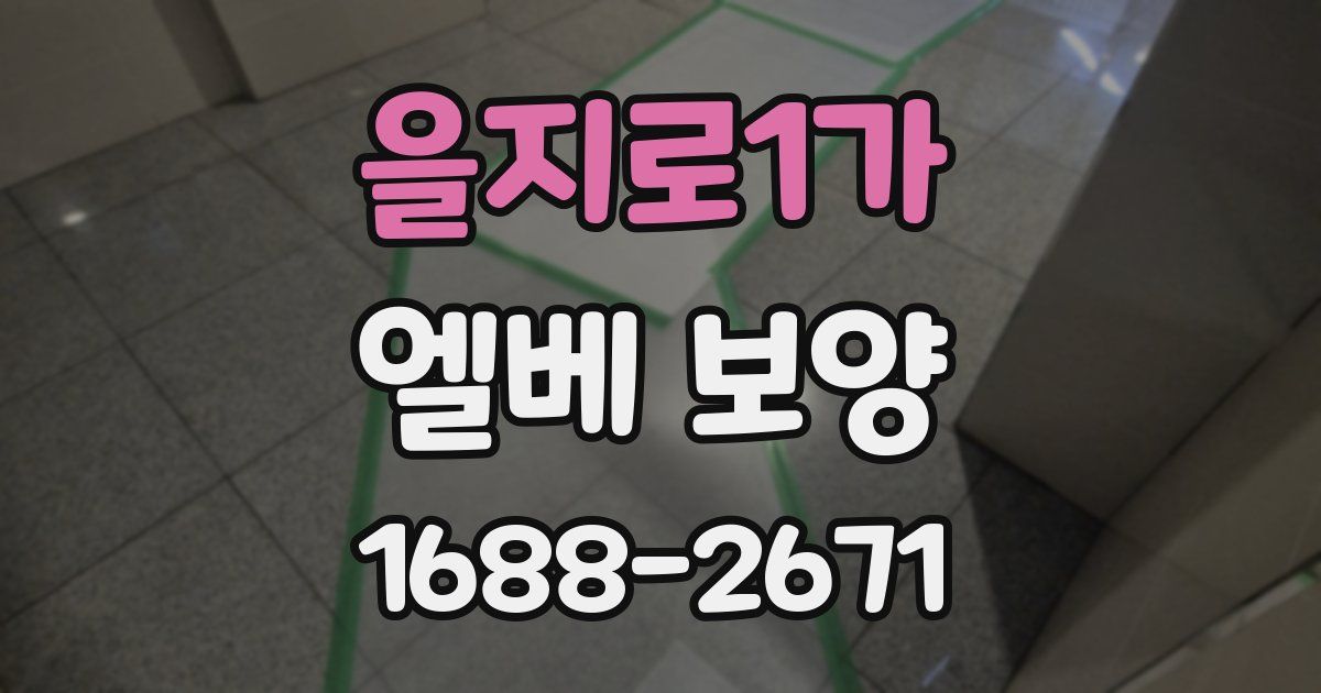 을지로1가 엘베 보양