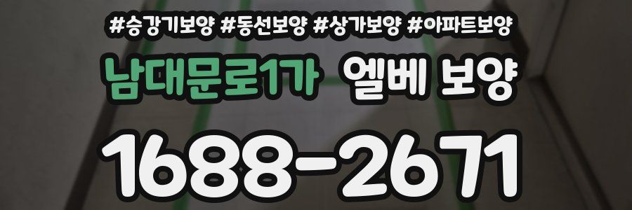 남대문로1가 엘베 보양