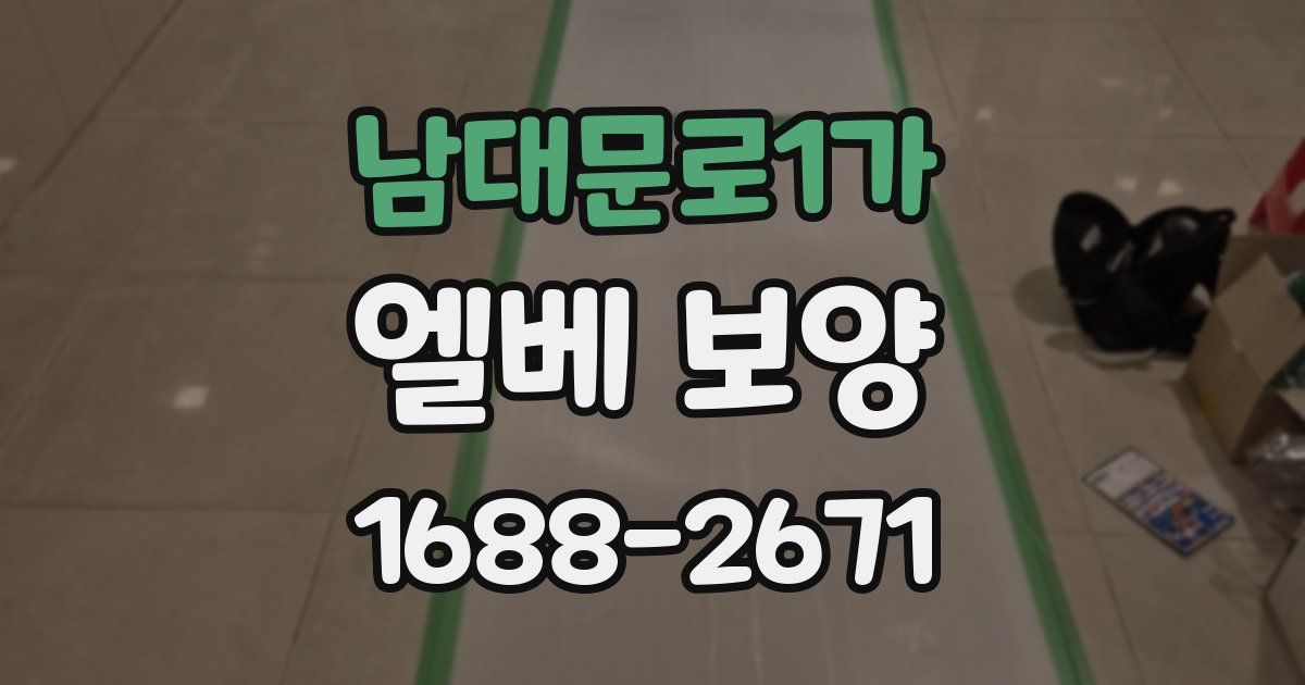 남대문로1가 엘베 보양
