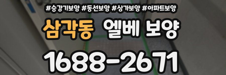 삼각동 엘베 보양
