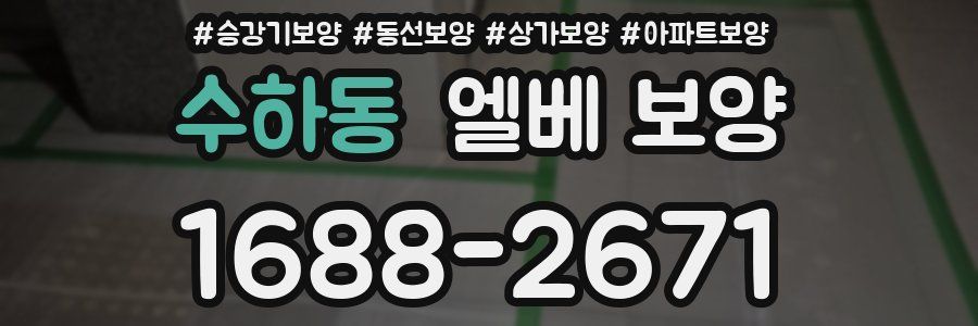 수하동 엘베 보양