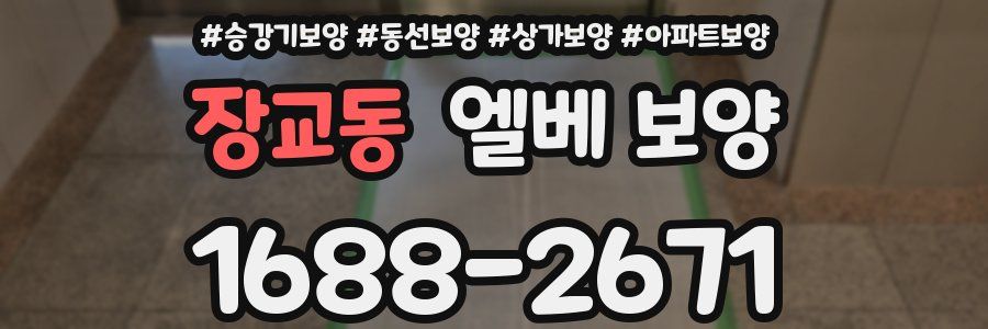 장교동 엘베 보양