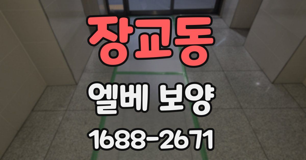 장교동 엘베 보양