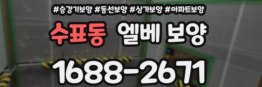 수표동 엘베 보양
